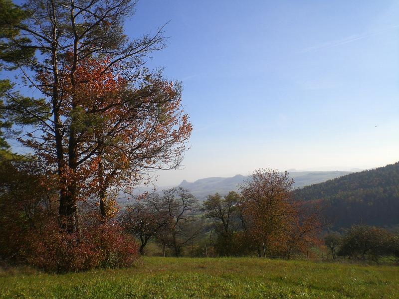 CIMG9029.JPG