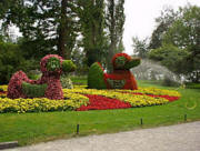 Link zur Insel Mainau