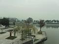 SAM_7447