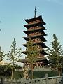 SAM_5638