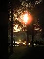 SAM_5655
