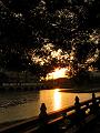SAM_5669