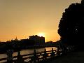 SAM_5675