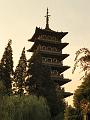 SAM_5682