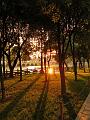 SAM_5713