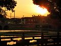 SAM_5722