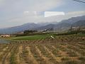 CIMG9955