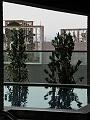 SAM_3616