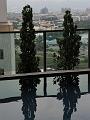 SAM_3633