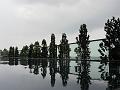 SAM_3683