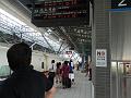 SAM_3228