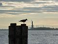 SAM_2671