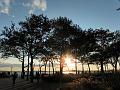 SAM_2717