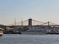 SAM_3352