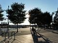 SAM_3049