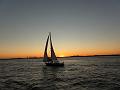 SAM_3219