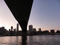 SAM_3306