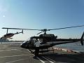 SAM_3358