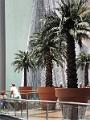 SAM_5142