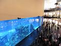 SAM_5224