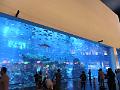 SAM_5227
