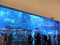 SAM_5229