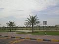 CIMG3028