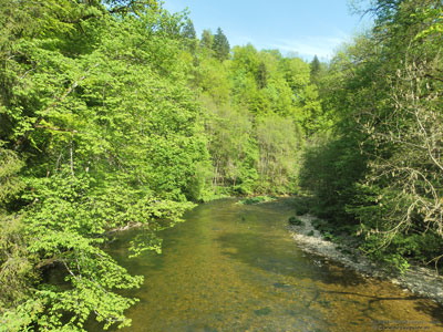 JuSeWa Tour Nr. 2 am 08. Juni 2012: Dreischluchtentour Gauchach-Engeschlucht-Wutachschlucht