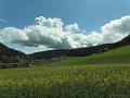 SAM_6089
