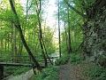 SAM_6423