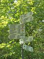 SAM_6445