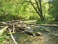SAM_6457