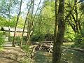 SAM_6459