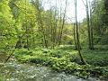 SAM_6477