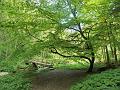 SAM_6480