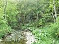 SAM_6484