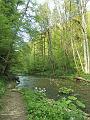 SAM_6487