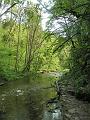 SAM_6490