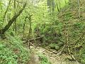 SAM_6515