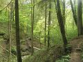 SAM_6518