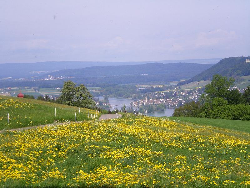CIMG1207.JPG