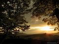 SAM_1803