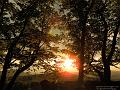 SAM_1804