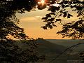 SAM_0601