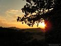 SAM_0824