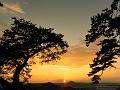 SAM_0920
