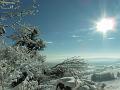 SAM_8418