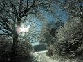 SAM_8707