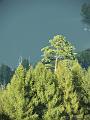 SAM_3549