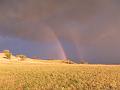 SAM_3749